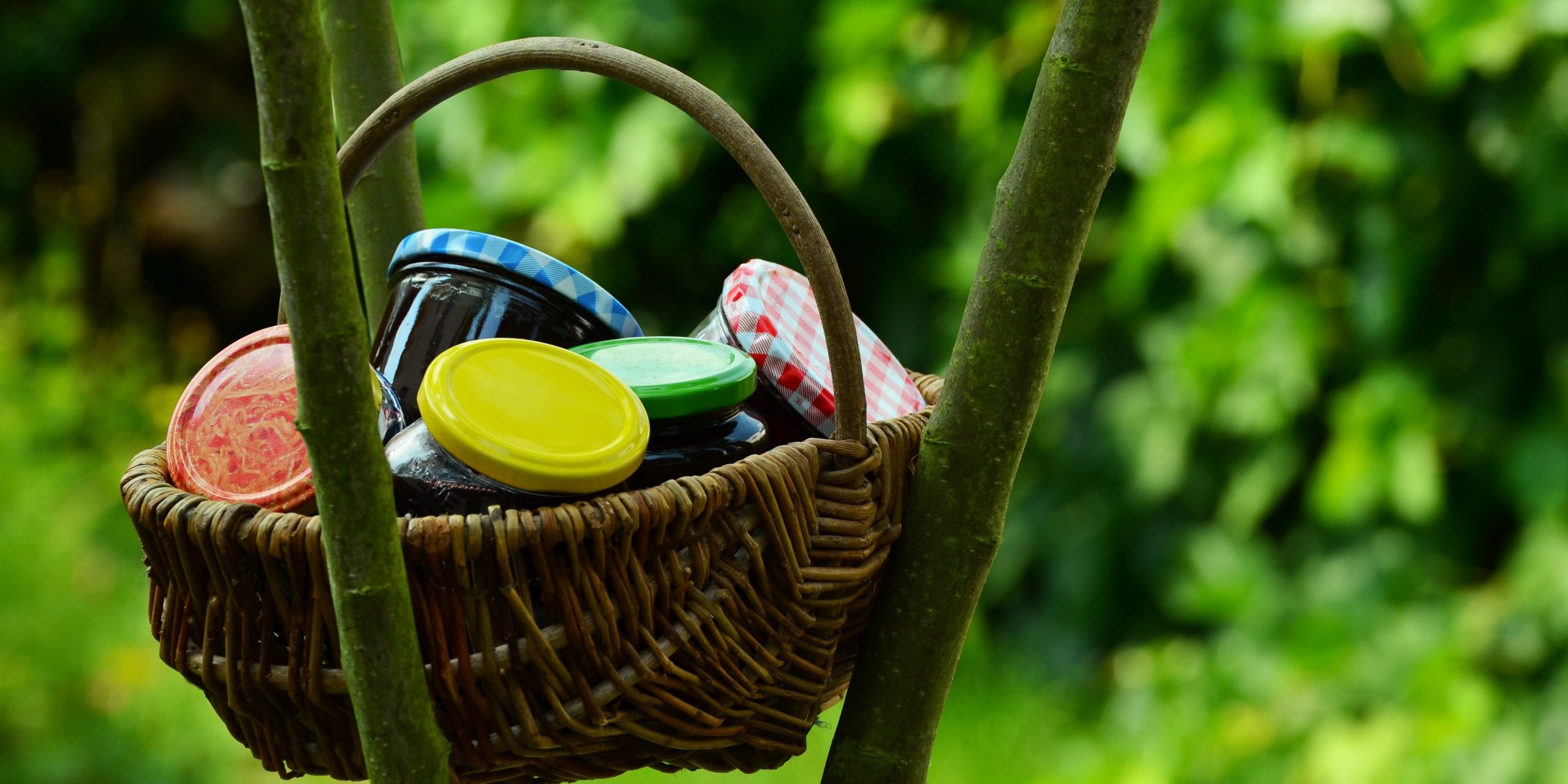 nature-grass-branch-bird-fruit-sweet-703470-pxhere.com