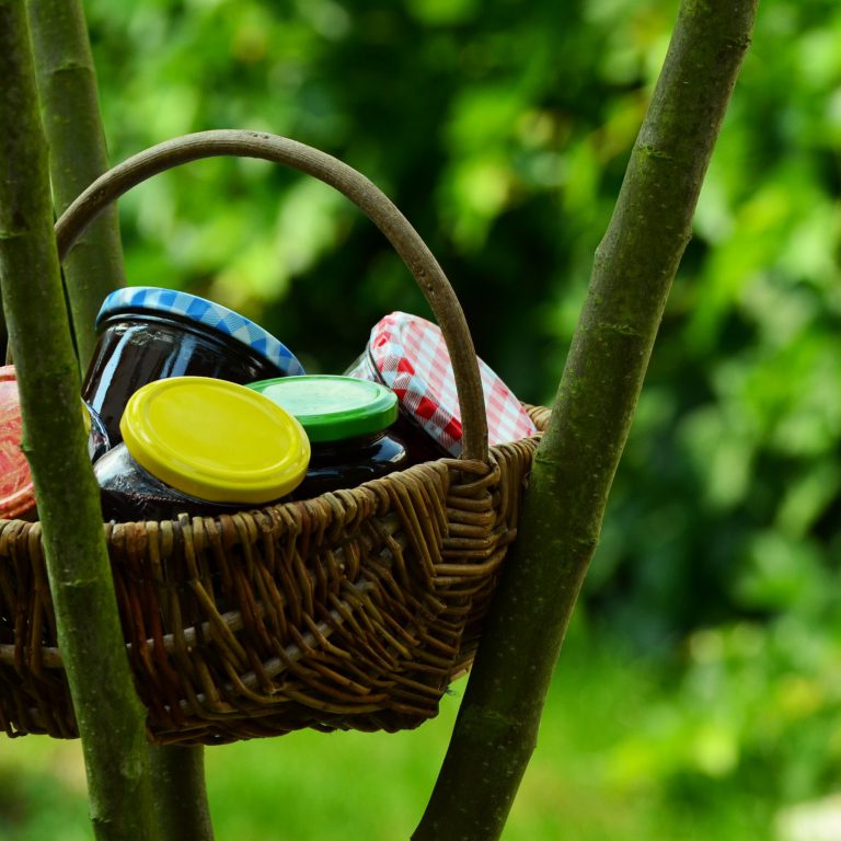 nature-grass-branch-bird-fruit-sweet-703470-pxhere.com